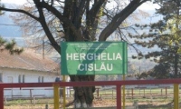 Herghelia De La Cislau