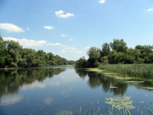 Delta Dunarii