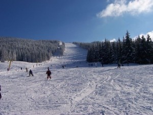 Arieseni