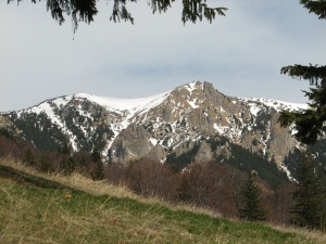 Cheia