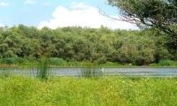 Lacul Pochina