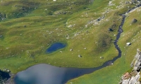 Lacul Doamnei