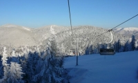 Partia Piatra Graitoare