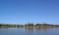 Lacul Dunareni