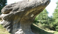Calcarele Cretacice De La Cisnadioara