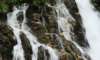 Cascada Urlatoarea