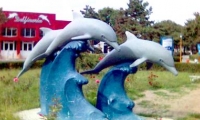 Delfinariul Din Constanta