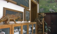 Muzeul De Paleontologie-Stratigrafie Al Universitatii Babes Bolyai