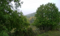 Padurea Valea Fagilor