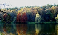 Parcul Natural Dumbrava Sibiului
