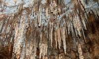 Pestera Izvorul Tausoarelor