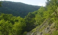 Rezervatia Naturala Izvoarele Minerale Sacelu