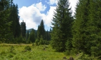 Rezervatia Naturala Molhasurile Din Valea Izbucelor