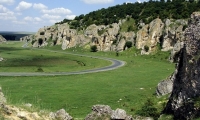 Rezervatia Naturala Refugiul Ornitologic Corbu - Nuntasi - Istria