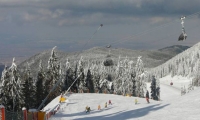 Partia de schi Drumul Rosu
