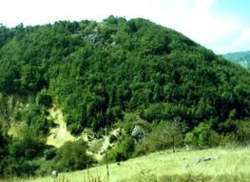 Rezervatia Naturala Piatra Andreaua poza