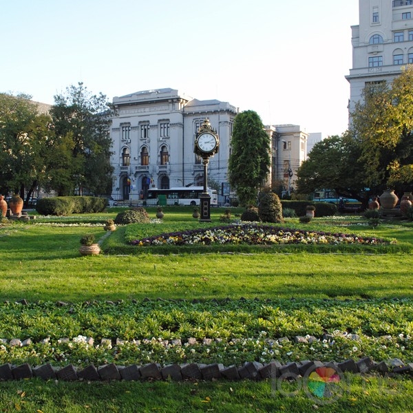 Parcul Cismigiu poza