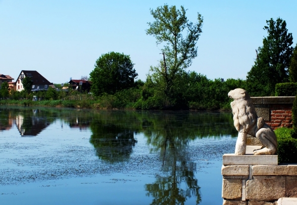 Lacul Mogosoaia poza