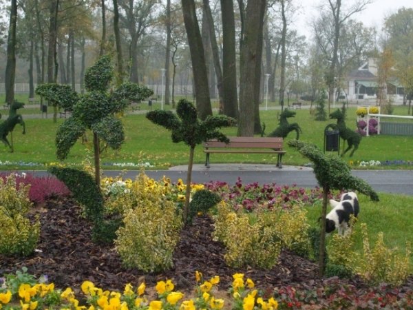Parcul Tineretului poza
