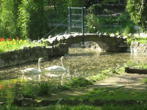 Parcul Cismigiu poza