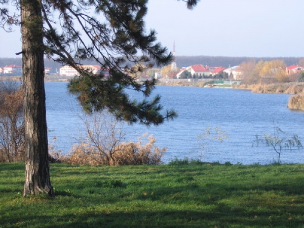 Lacul Mogosoaia poza