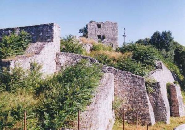 Cetatea Medievala A Severinului poza