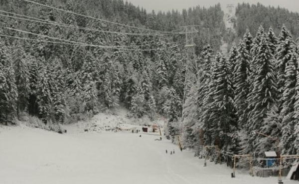 Partia Stadion Din Poiana Brasov poza