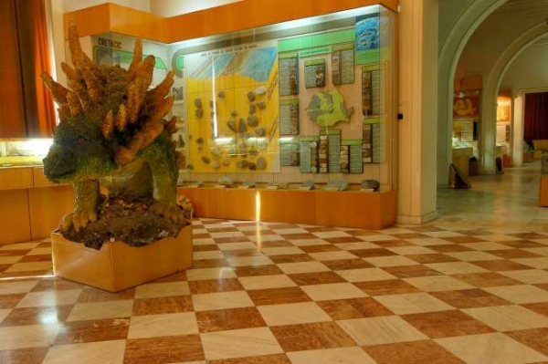 Muzeul National De Geologie  poza