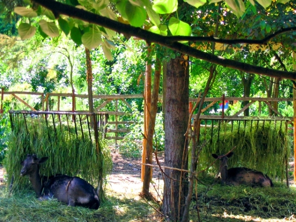 Statiunea Baile Calacea poza