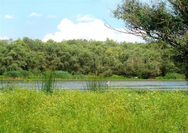 Lacul Pochina poza