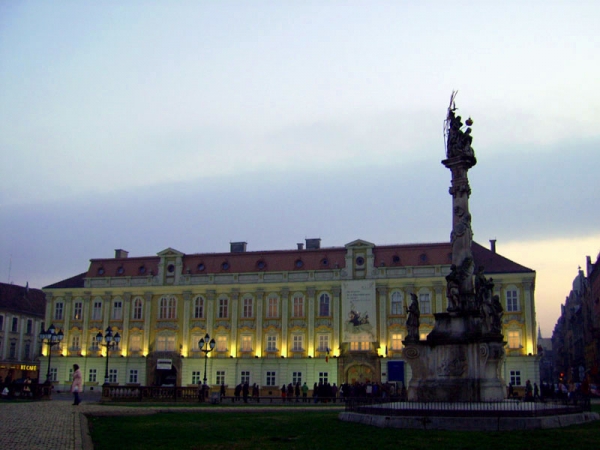 Muzeul De Arta Din Timisoara poza