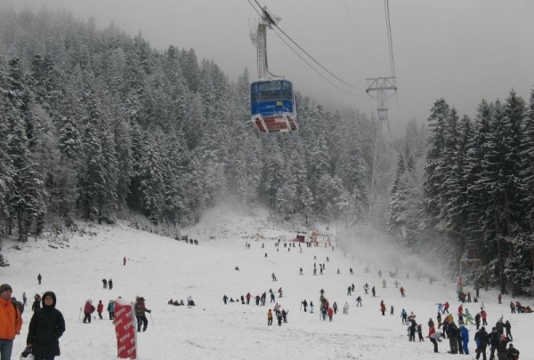 Partia Bradul Din Poiana Brasov poza