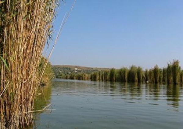 Lacul Dunareni poza