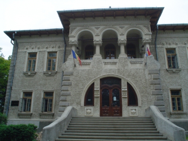 Muzeul De Arta Ion Irimescu Din Falticeni poza