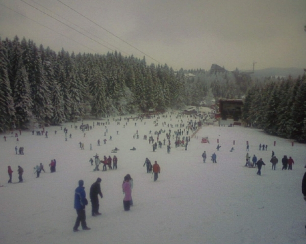 Partia Bradul Din Poiana Brasov poza