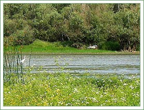 Lacul Pochina poza