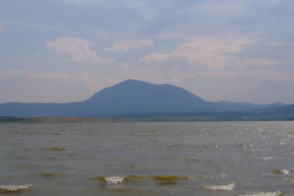 Lacul Dumbravita poza
