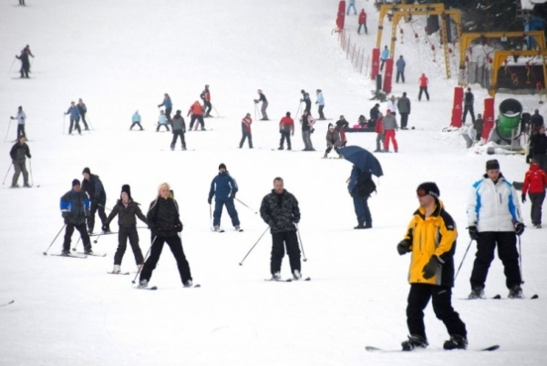 Partia Bradul Din Poiana Brasov poza