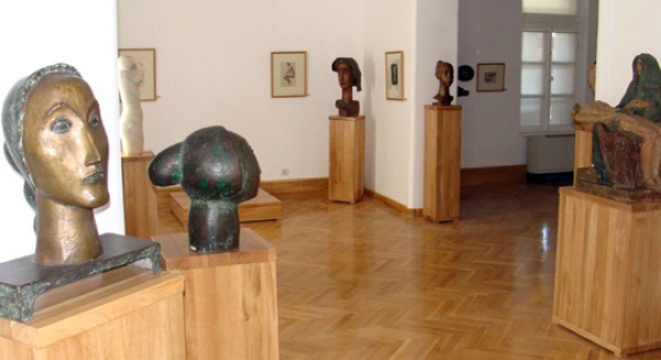 Muzeul De Arta Ion Irimescu Din Falticeni poza