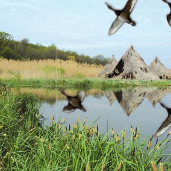 Lacul Comana poza