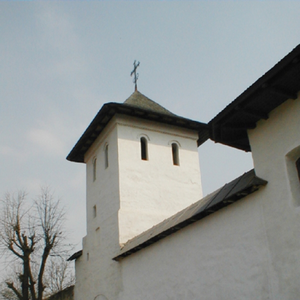 Manastirea Apostolache poza