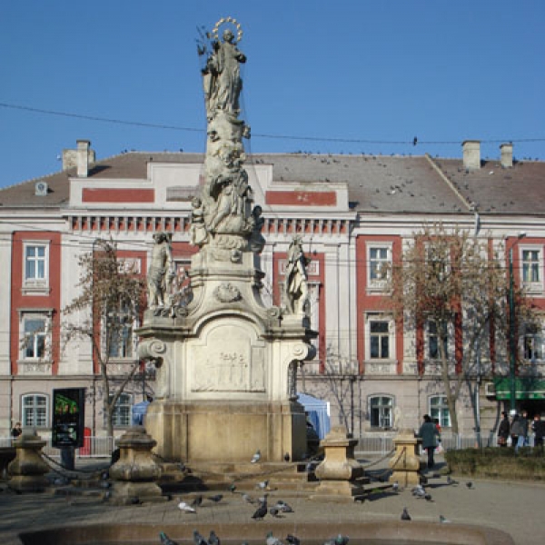 Monumentul Sfanta Treime Din Timisoara poza