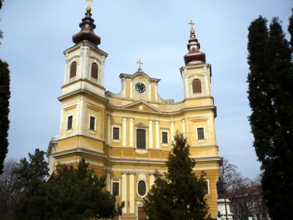 Bazilica Romano-Catolica Din Oradea poza