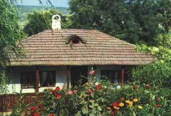 Casa Memoriala Ion Creanga Din Iasi poza