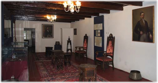 Casa Memoriala Costache Negri poza