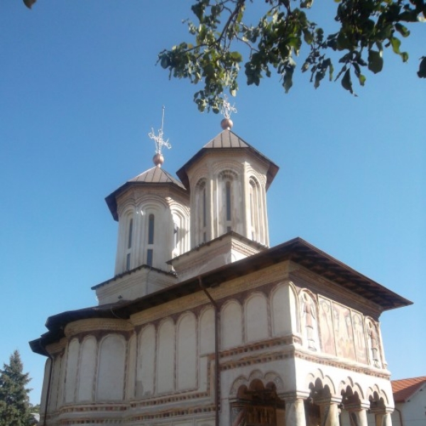 Biserica Sfantul Nicolae Amaradia poza