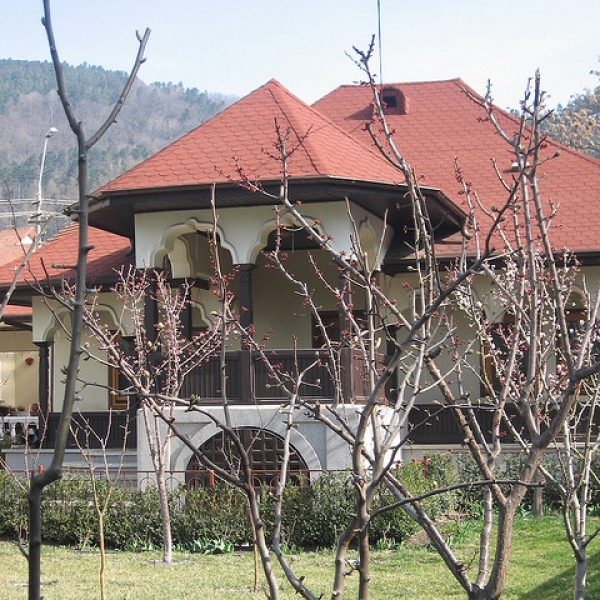 Casa Ivascu Din Piatra Neamt poza