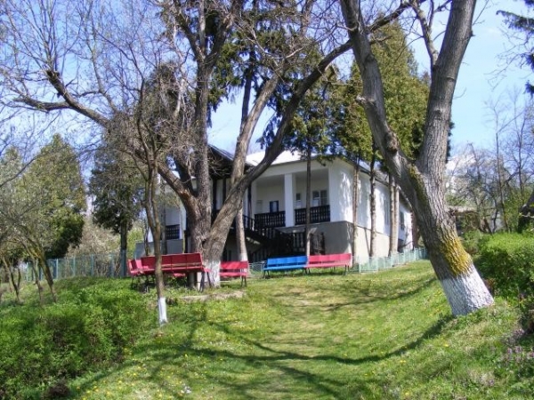 Casa Memoriala Ion Borcea poza