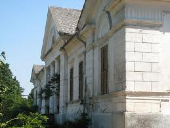 Castelul Bela Fay Simeria poza