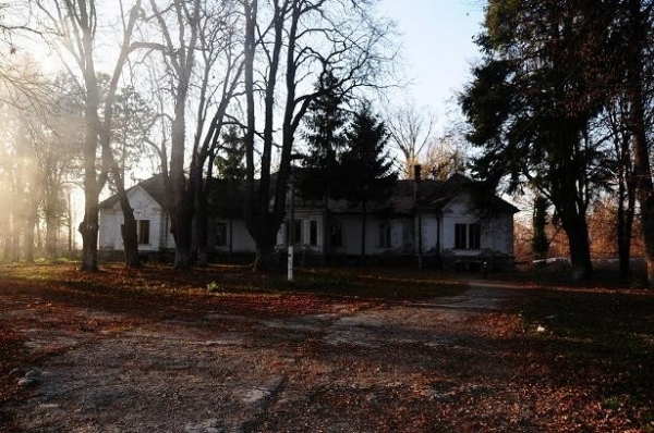 Castelul Mikes Din Budila poza
